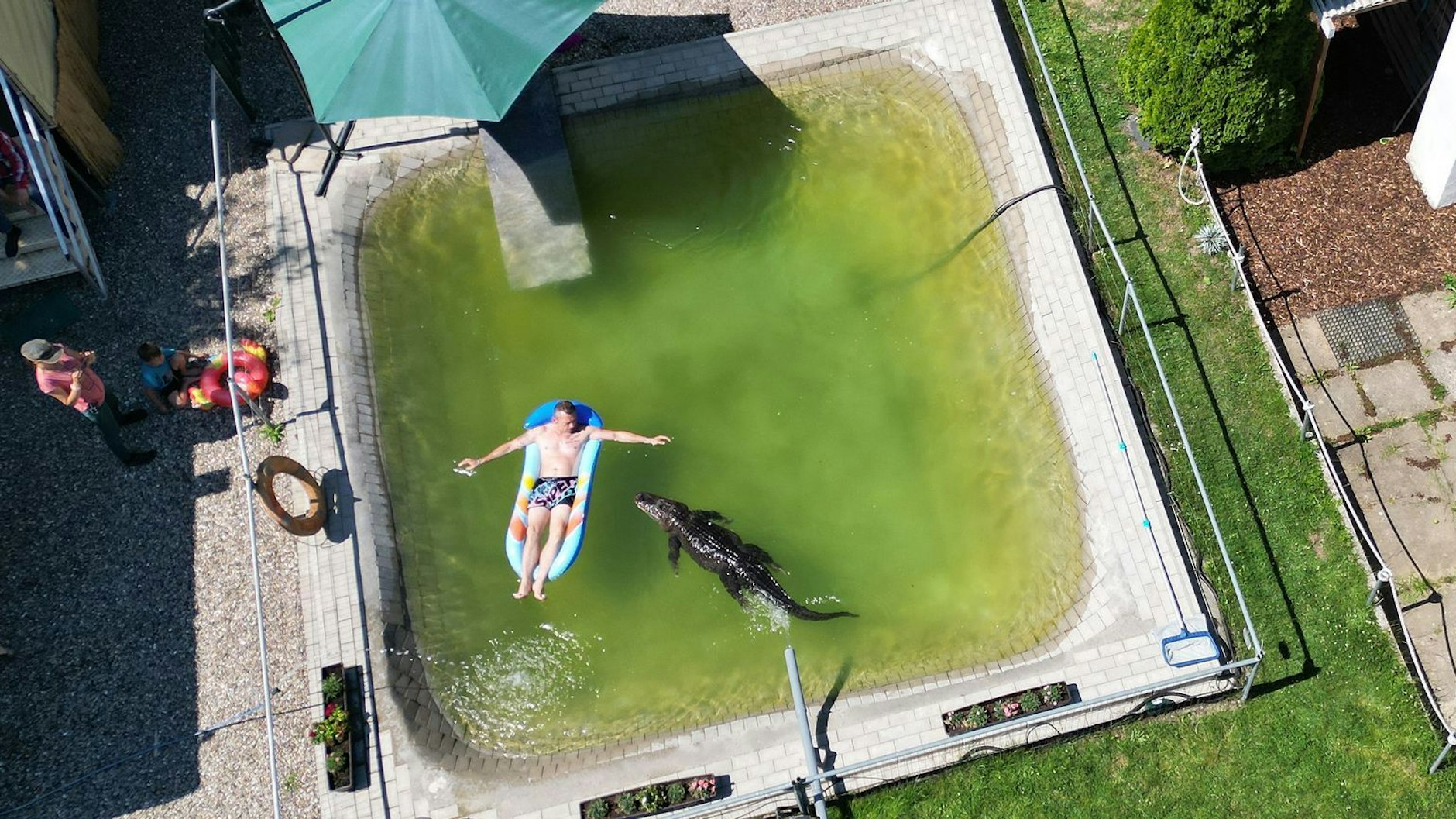 Der Pool im Garten von Familie Kaulis. Hier planschen alle mit&nbsp; Alligator Frau Meyer.
