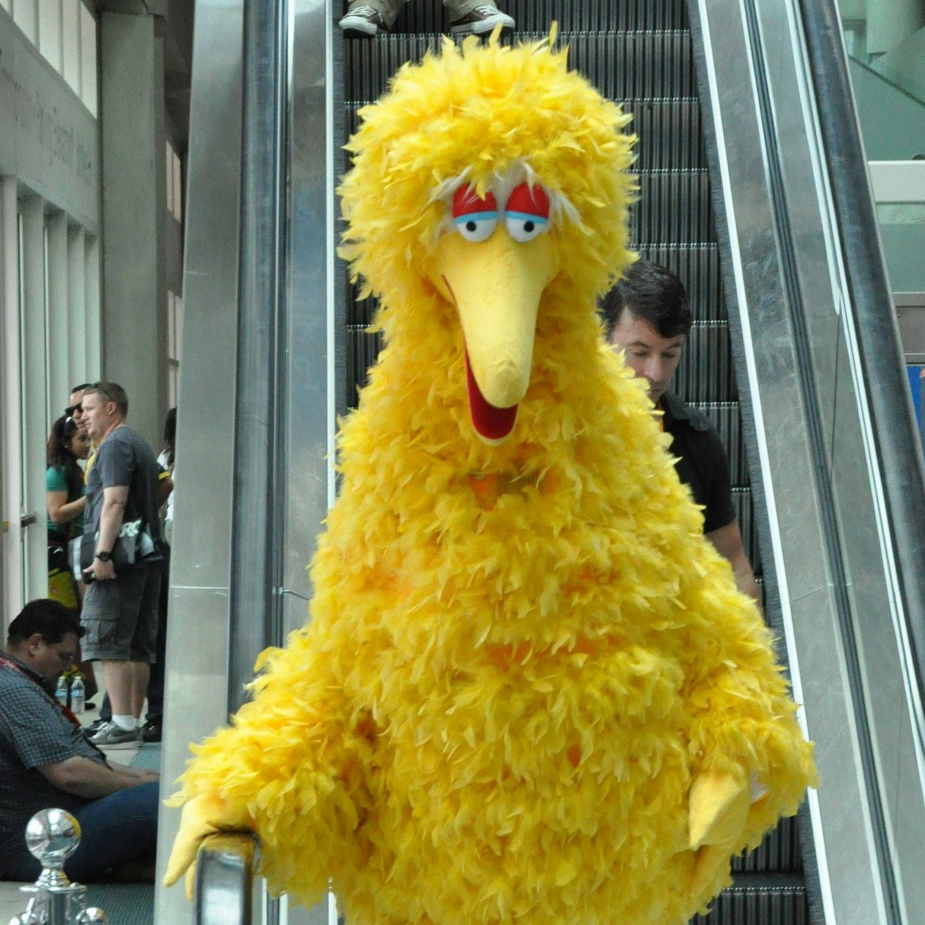 Bibo, der große, gelbe Plüschvogel aus der Kindersendung Sesamstraße.