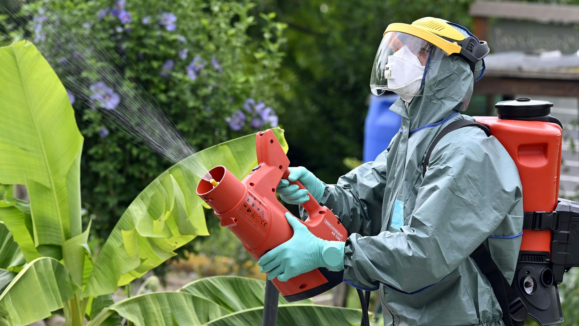 Nachbarländer wie die Schweiz gehen mit Insektizideinsatz gegen den Japankäfer vor.