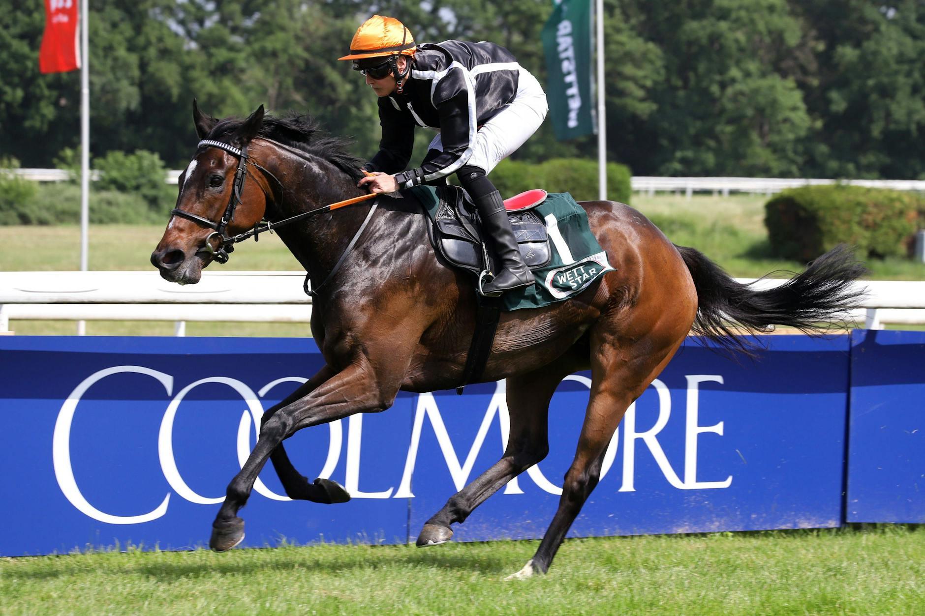 Reiterin Sibylle Vogt gewann im Mai noch das Galopp-Rennen Petit Marin. Jetzt muss sie wegen einer Liebesnacht sechs Monate pausieren.