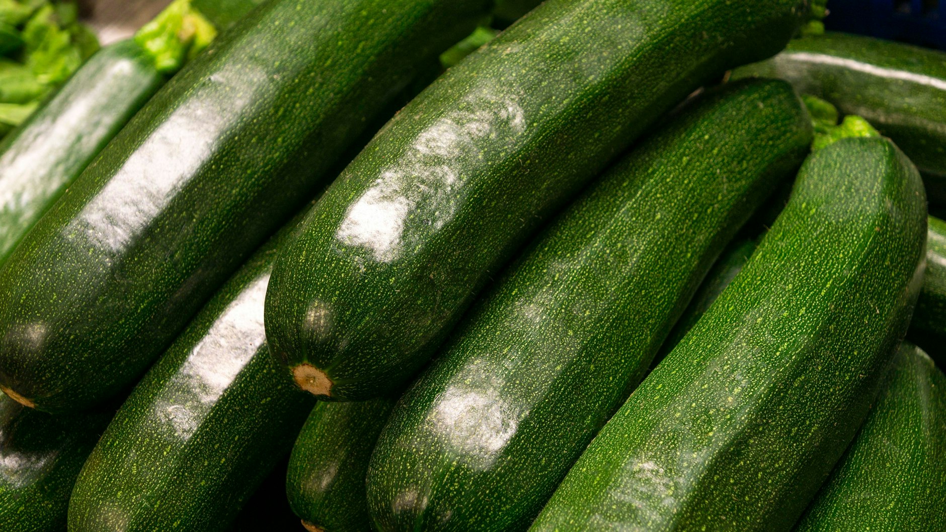 Die Zucchini sorgt in herzhaften aber auch süßen Gerichten für eine gute Portion Vitamine.