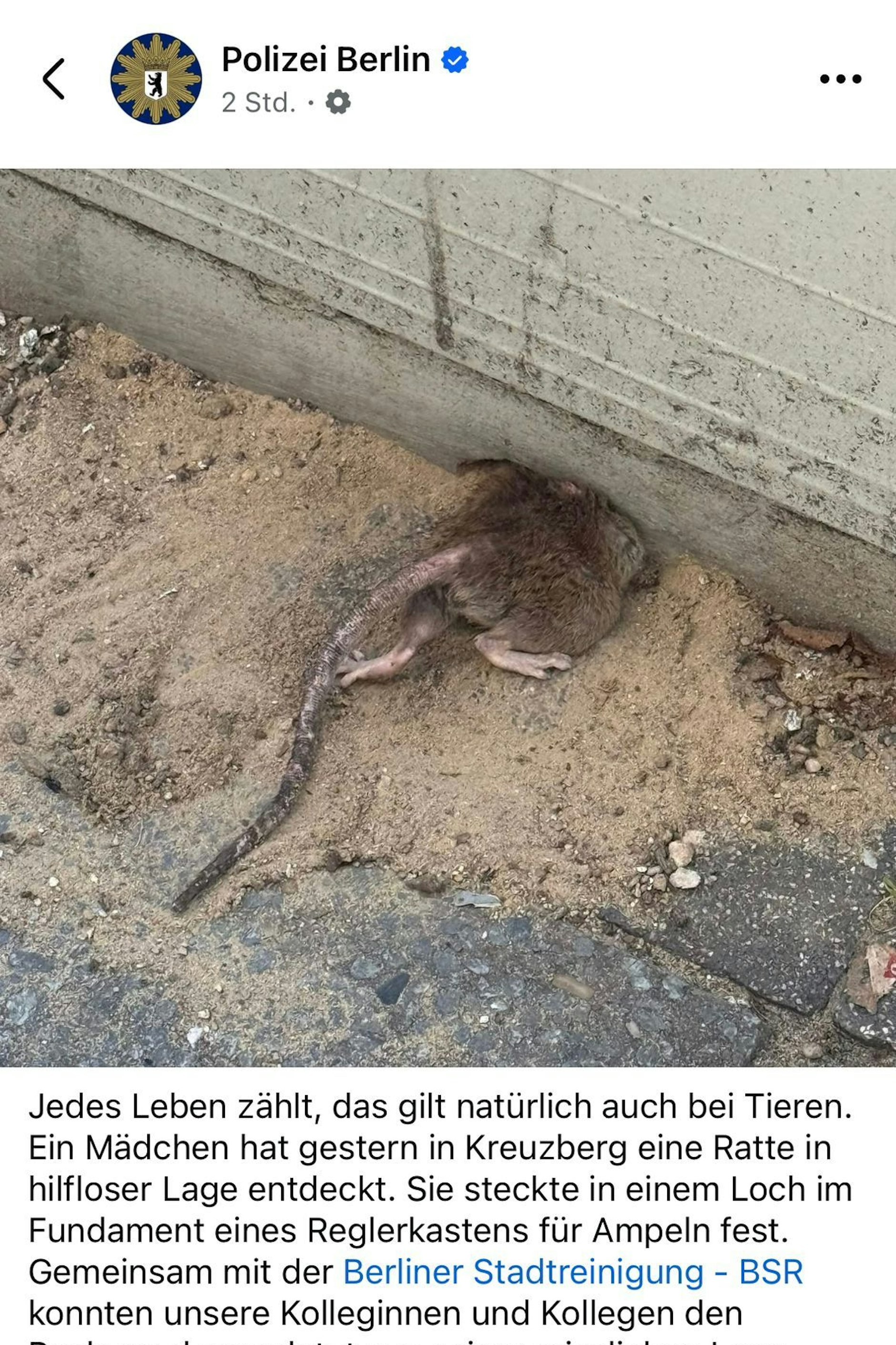 Die Polizei veröffentlichte einen kurzen Bericht zu der tierischen Rettungsaktion auf Facebook.