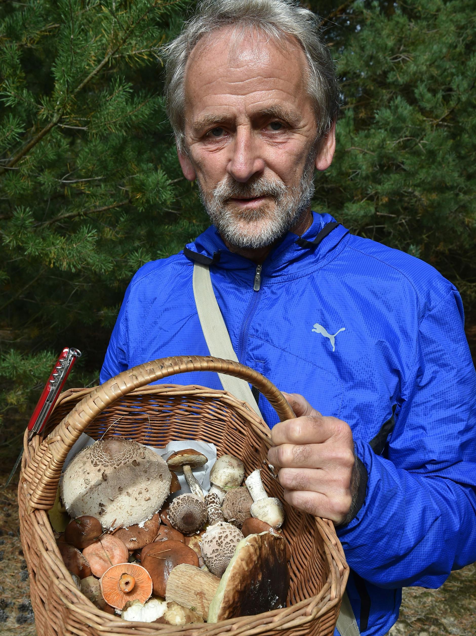 Im luftigen Korb lassen sich Pilze besonders gut sammeln, weiß der Pilzexperte Wolfgang Bivour.