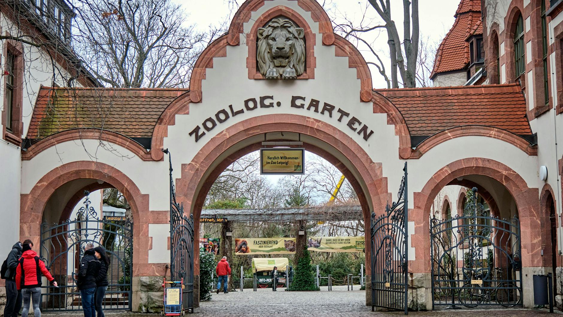 Im Leipziger Zoo wurden jetzt drei Tigerbabys eingeschläfert.