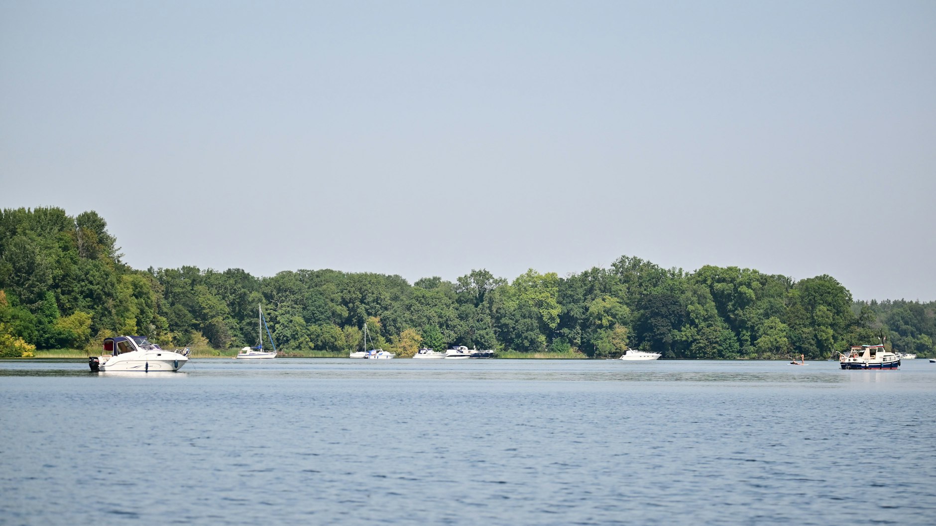 Blick auf die Insel Scharfenberg im Tegeler See: Dort war der Mann am Mittwoch untergegangen.
