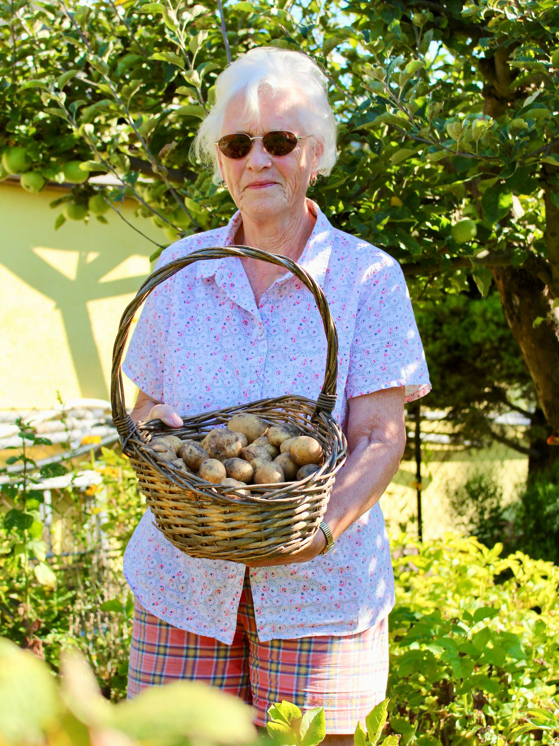 Christa Müller pflanzt ihre Kartoffeln mit einem Trick an, den sie schon 1945 von ihrer Mutter lernte. Erst Jugend forscht bestätigte, dass er wirklich funktioniert.