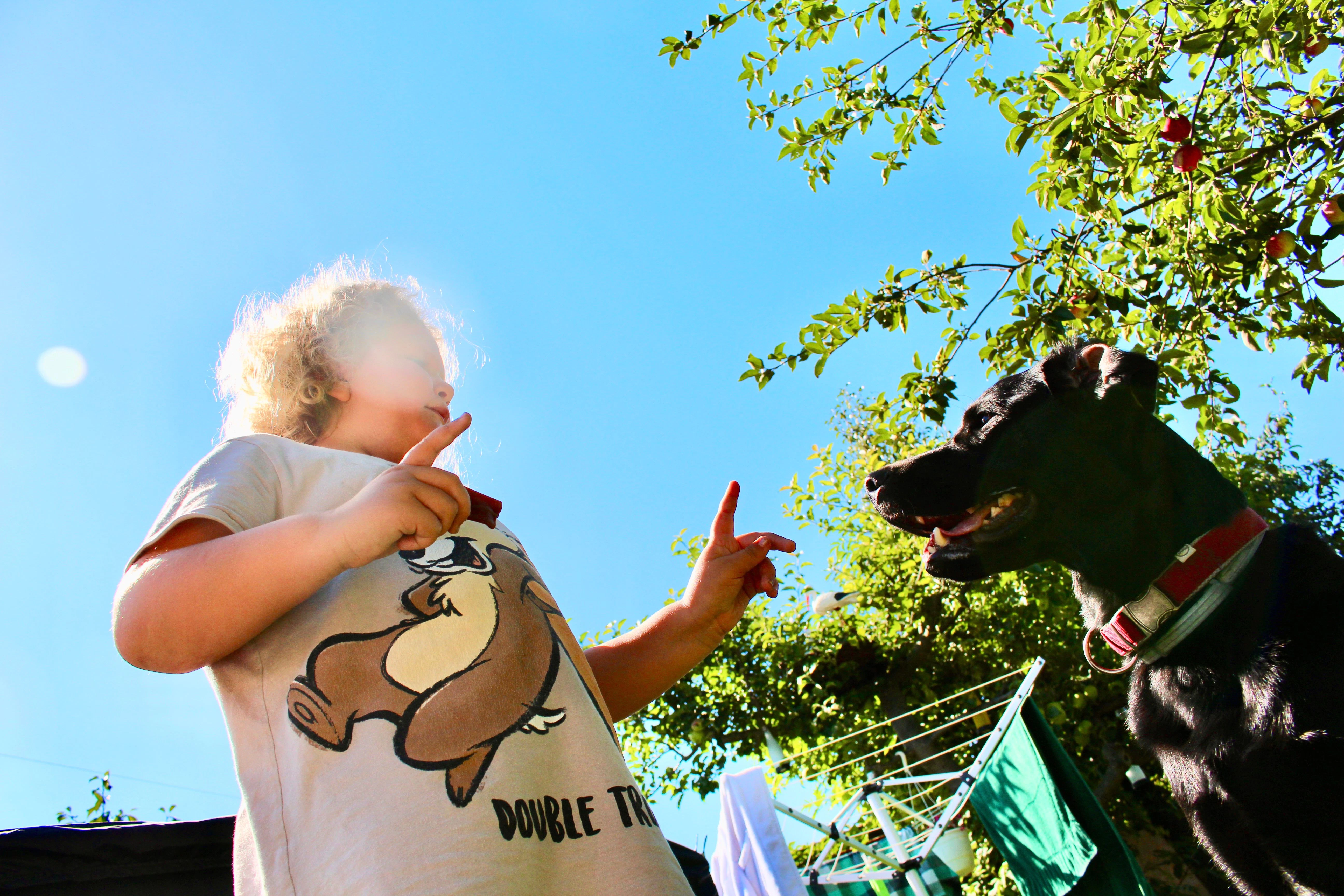 Charlotte spielt mit der Labradorhündin Emma. Die Hündin scheint sehr klug zu sein und gehorcht Charlotte mit großem Eifer bei jedem noch so kleinen Wunsch.