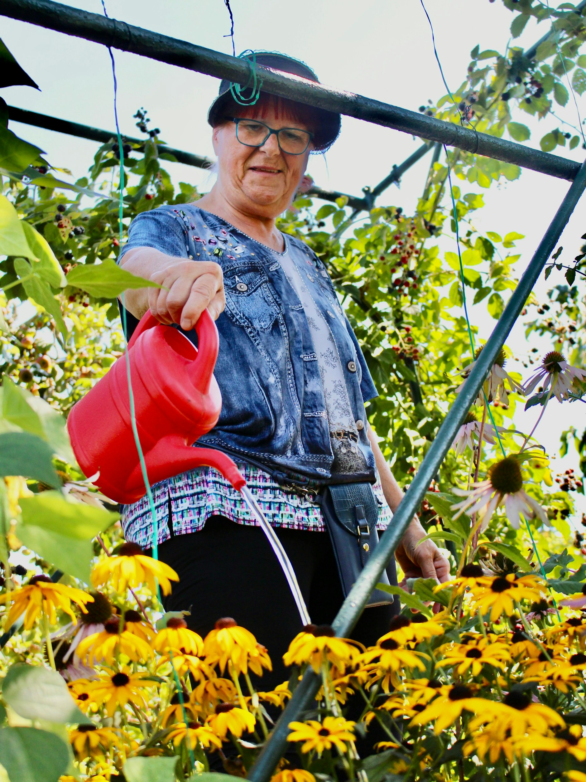 Gärtnerin Sigrid Scheunemann gießt ihre Blumen mit einem Sud, den sie mit Wasser und Rasenschnitt oder Giersch angesetzt hat. Zur Belohnung strahlt ihr Garten in der Laubenkolonie Bornholm in prächtigen Farben.