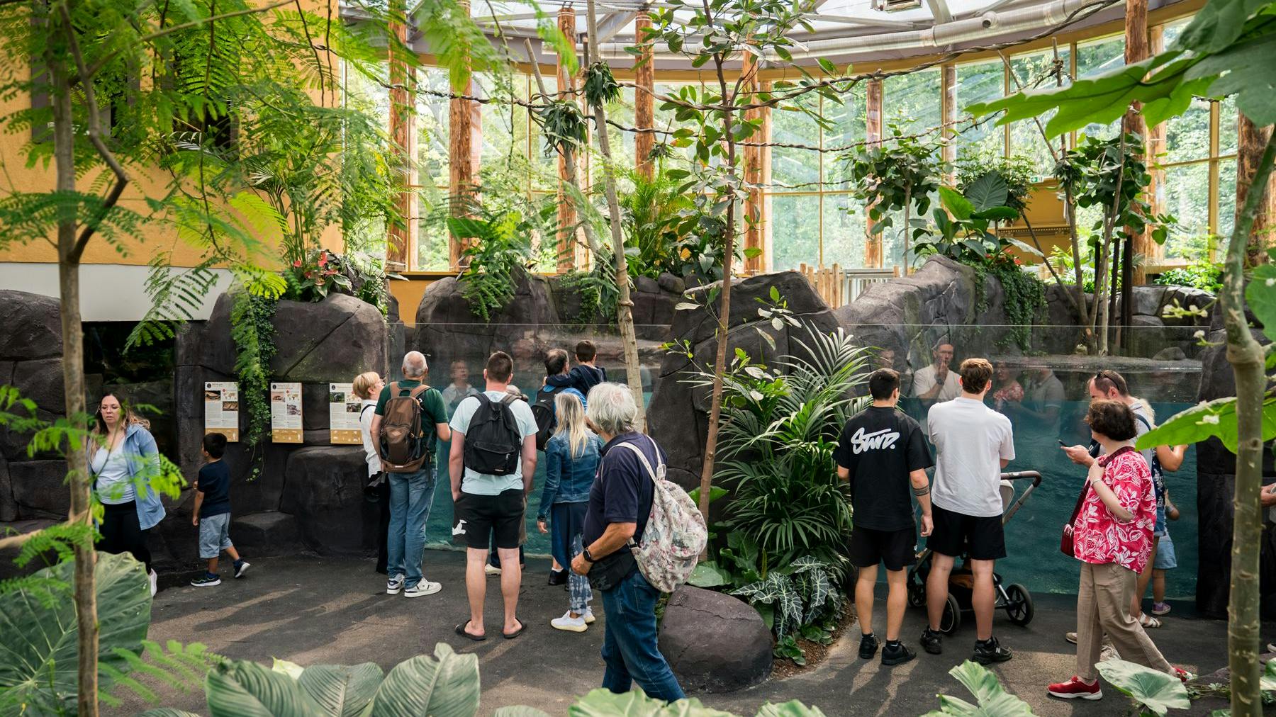 Die Hippo-Anlage im Zoo Mulhouse (Frankreich) wird das neue Zuhause von Mini-Flusspferd Toni aus Berlin.