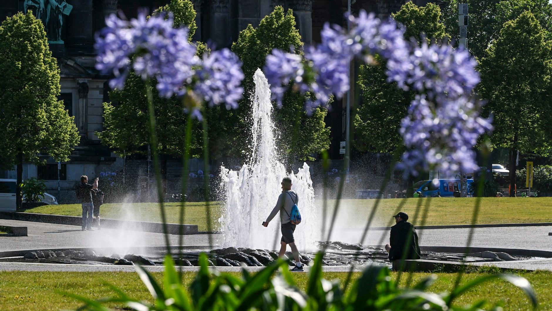 Wer den Sommer mag, sollte die nächsten Wärme-Tage noch einmal genießen, bevor auch beim Wetter der Herbst wirklich Einzug hält.