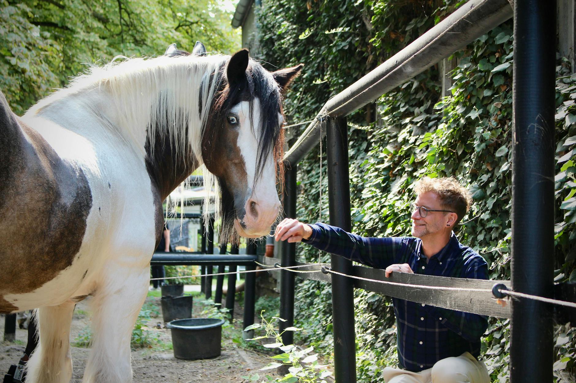 Vom Leistungssport zur Suchthilfe: Arne Schriever wuchs mit Pferden auf, ritt bis an die Weltspitze und leitet heute die Reitschule von Synanon, in der Tiere in die Sucht-Rehabilitation integriert sind.