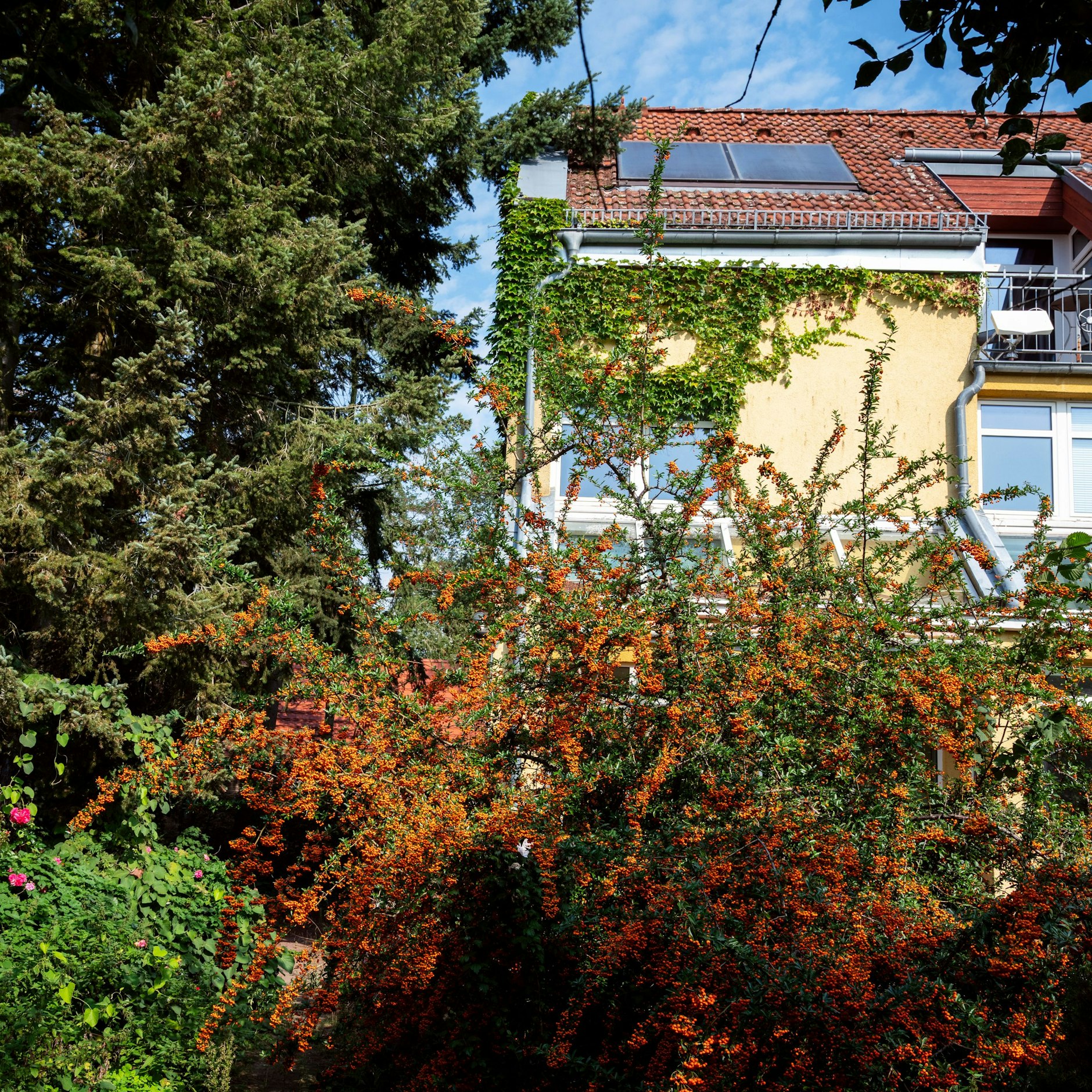 Günther Krause und seine Frau sollen&nbsp; zwangsgeräumt werden. Er hat seit 2022 keine Miete mehr bezahlt für das Fünf-Zimmer-Haus in Alt Töplitz.