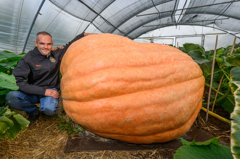 K-rbis-Meister-Oliver-Grafe-Die-Jagd-nach-dem-1000-kg-Koloss
