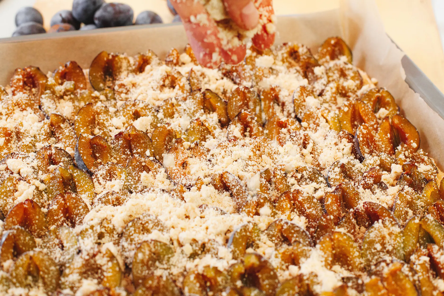 Th ringer Pflaumenkuchen Mit Streuseln Mit Unserem Rezept Gelingt Er Th ringer Pflaumenkuchen Mit Streuseln Mit Unserem Rezept Gelingt Er