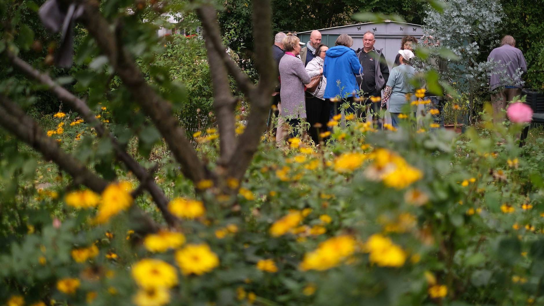 Mitten im grünen Paradies: Mieter vom Joachimsthaler Carree treffen sich im Mietergarten.