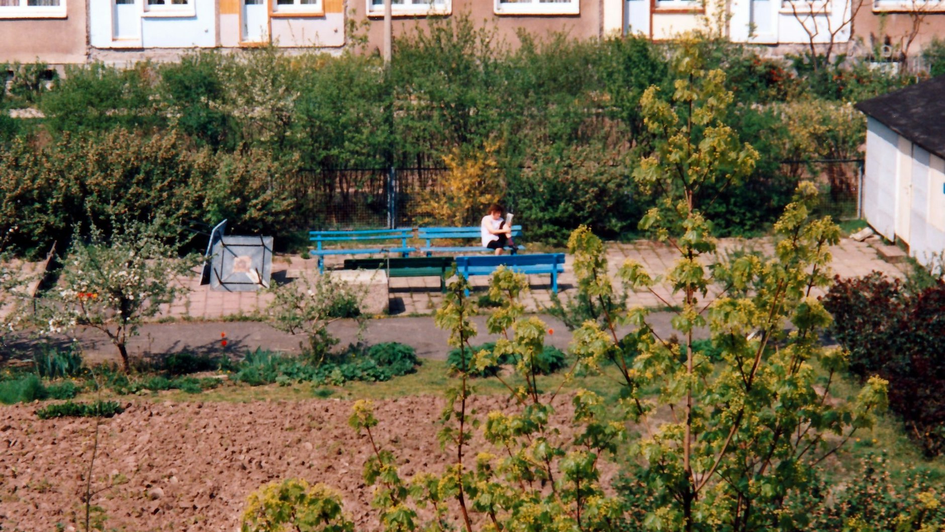 Der Mietergarten im Joachimsthaler Carree zu DDR-Zeiten: Da war er noch ein Schulgarten mitten im Wohngebiet.