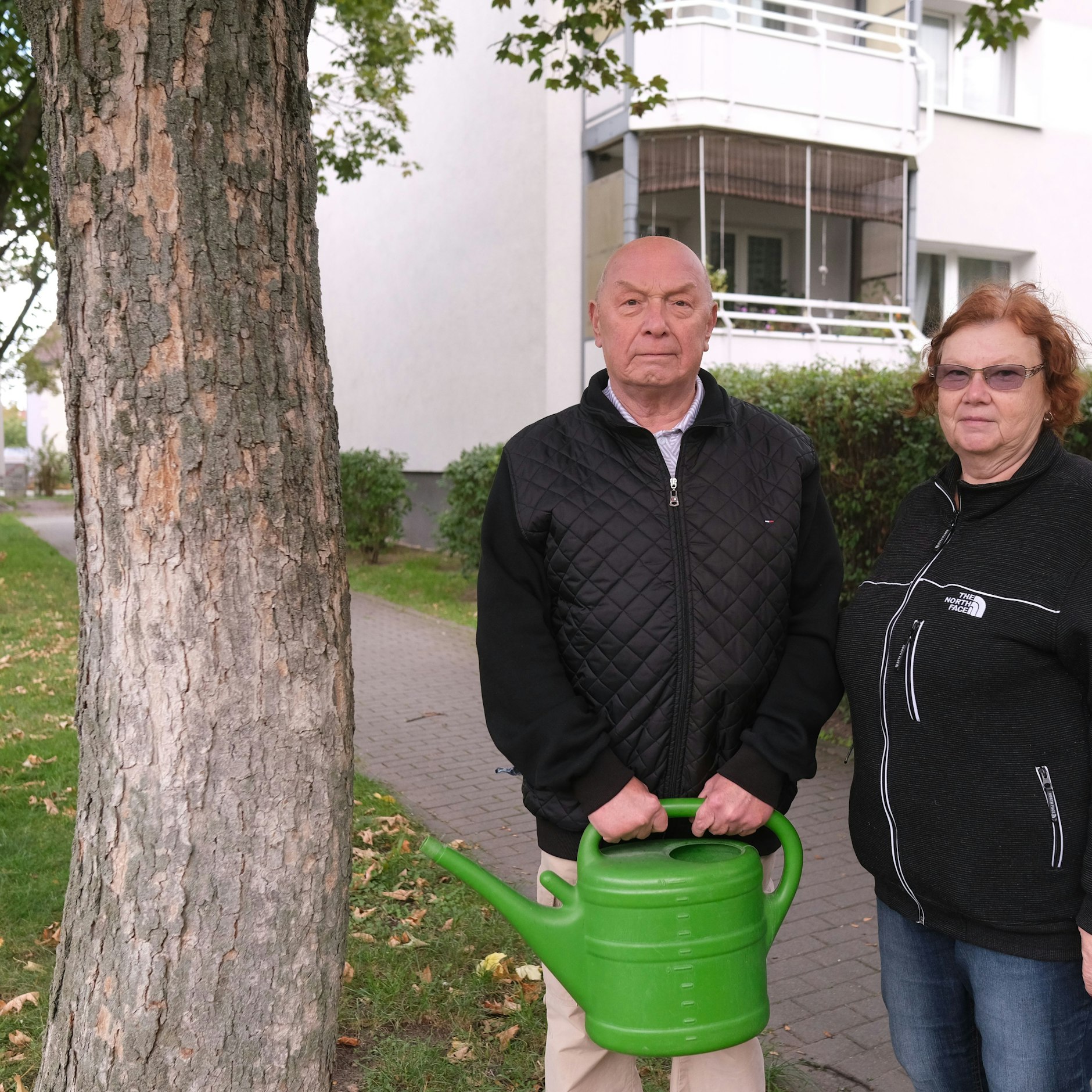 Eva und Harry Roll gehören zu den erstenn Mietern, die in dem Joachimsthaler Carree in Berlin-Lichtenberg in den 70er Jahren einzigen. Diese Kastanie hatten sie auf dem Hof gepflanzt, pflegen sie noch heute. Nun soll dieser und 49 weitere Bäume für neue Wohnungen gefällt werden.