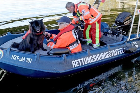 Suche nach Fabian (8) in Güstrow: Leichen-Spürhunde schlagen an!